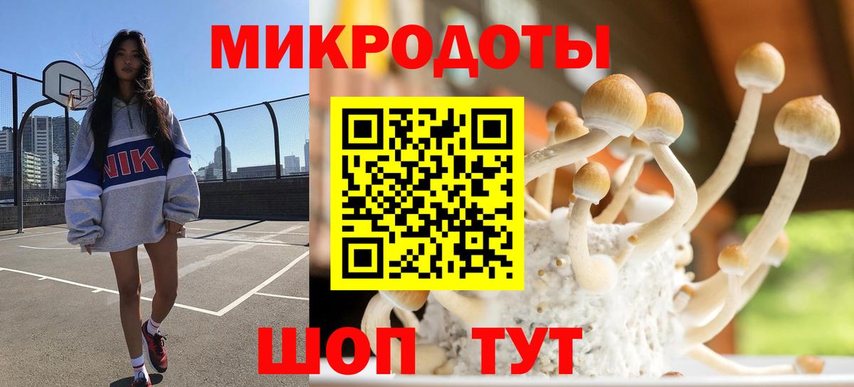 Сухой Лог  Галлюциногенные грибы Cubensis  Вход с VPN 